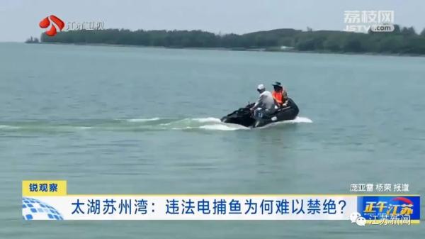 禁止垂钓牌到处都是,捕鱼艇依然在湖面乱窜!太湖苏州湾违法电捕鱼为何难以禁绝 禁止垂钓牌到处都是,捕鱼艇依然在湖面乱窜!太湖苏州湾违法电捕鱼为何难以禁绝
