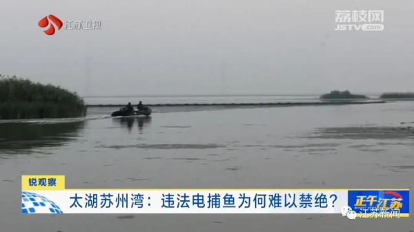 禁止垂钓牌到处都是,捕鱼艇依然在湖面乱窜!太湖苏州湾违法电捕鱼为何难以禁绝 禁止垂钓牌到处都是,捕鱼艇依然在湖面乱窜!太湖苏州湾违法电捕鱼为何难以禁绝
