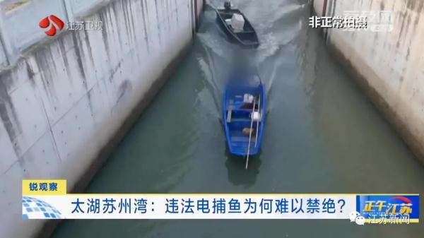 禁止垂钓牌到处都是,捕鱼艇依然在湖面乱窜!太湖苏州湾违法电捕鱼为何难以禁绝 禁止垂钓牌到处都是,捕鱼艇依然在湖面乱窜!太湖苏州湾违法电捕鱼为何难以禁绝