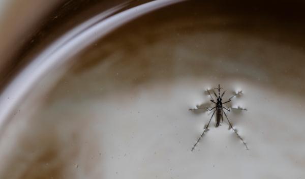 可致命！一地发现多个病例，症状似“二阳”，极易被误诊