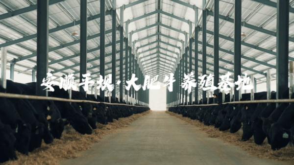 一季度承运农产品运输量大幅增长 满帮持续助力“黔货出山”