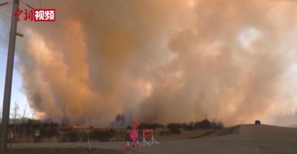 野火失控！这国多地进入紧急状态