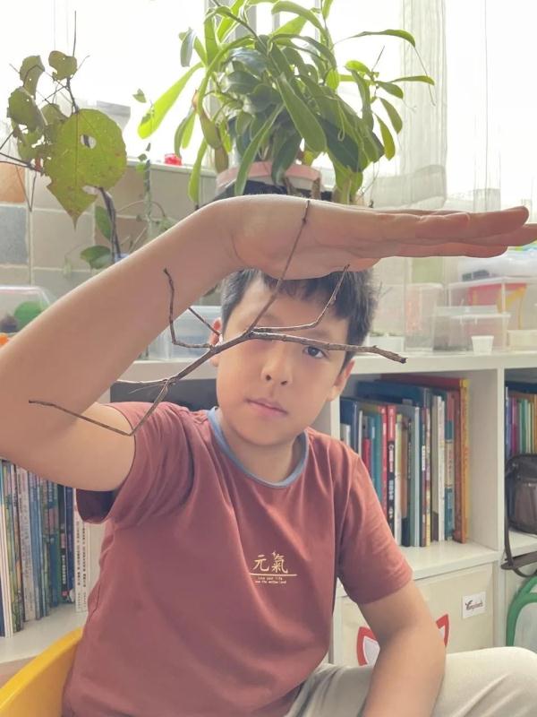 圈粉20万!这个10岁男孩,兴趣太特别 圈粉20万!这个10岁男孩,兴趣太特别