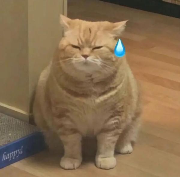 沪上网红超市开业！男子“浑水摸鱼”，被抓后说为了母亲？