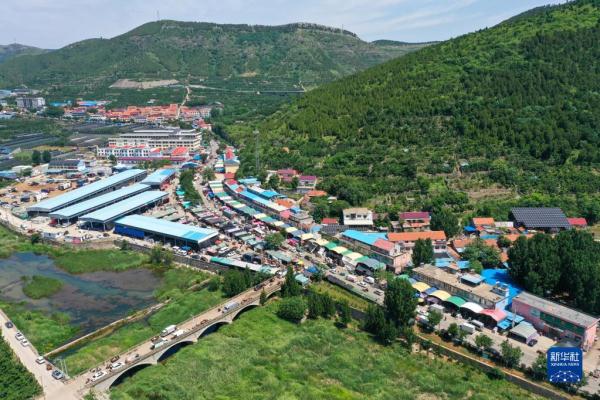 樱桃小镇购销两旺 樱桃小镇购销两旺