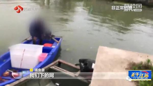 禁止垂钓牌到处都是,捕鱼艇依然在湖面乱窜!太湖苏州湾违法电捕鱼为何难以禁绝 禁止垂钓牌到处都是,捕鱼艇依然在湖面乱窜!太湖苏州湾违法电捕鱼为何难以禁绝