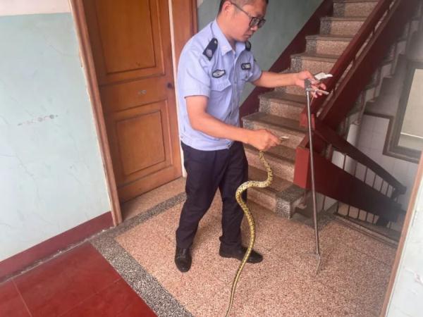 杭州多地接获警情，近期高发，不少人被吓坏了！