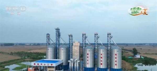 安徽阜南全面抢收126万亩小麦 多举施确保颗粒归仓