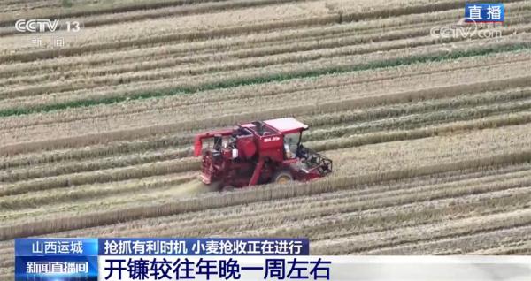 山西运城抢抓天气晴好有利时机 小麦抢收正在进行中