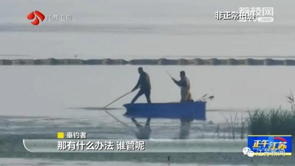 禁止垂钓牌到处都是,捕鱼艇依然在湖面乱窜!太湖苏州湾违法电捕鱼为何难以禁绝 禁止垂钓牌到处都是,捕鱼艇依然在湖面乱窜!太湖苏州湾违法电捕鱼为何难以禁绝