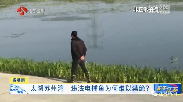 禁止垂钓牌到处都是,捕鱼艇依然在湖面乱窜!太湖苏州湾违法电捕鱼为何难以禁绝 禁止垂钓牌到处都是,捕鱼艇依然在湖面乱窜!太湖苏州湾违法电捕鱼为何难以禁绝