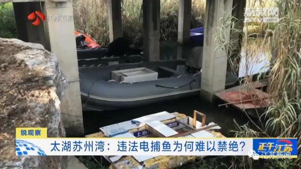 禁止垂钓牌到处都是,捕鱼艇依然在湖面乱窜!太湖苏州湾违法电捕鱼为何难以禁绝 禁止垂钓牌到处都是,捕鱼艇依然在湖面乱窜!太湖苏州湾违法电捕鱼为何难以禁绝