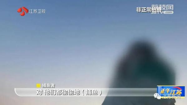 禁止垂钓牌到处都是,捕鱼艇依然在湖面乱窜!太湖苏州湾违法电捕鱼为何难以禁绝 禁止垂钓牌到处都是,捕鱼艇依然在湖面乱窜!太湖苏州湾违法电捕鱼为何难以禁绝