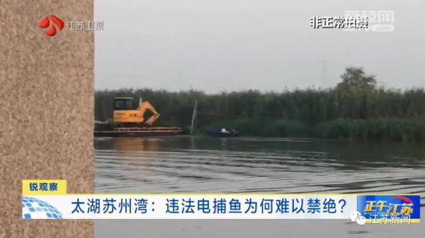 禁止垂钓牌到处都是,捕鱼艇依然在湖面乱窜!太湖苏州湾违法电捕鱼为何难以禁绝 禁止垂钓牌到处都是,捕鱼艇依然在湖面乱窜!太湖苏州湾违法电捕鱼为何难以禁绝