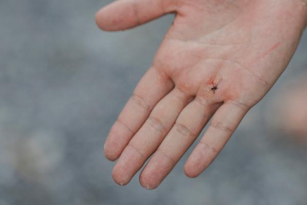 可致命！一地发现多个病例，症状似“二阳”，极易被误诊