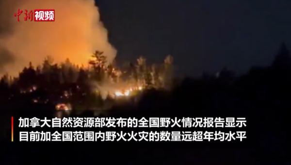 野火失控！这国多地进入紧急状态