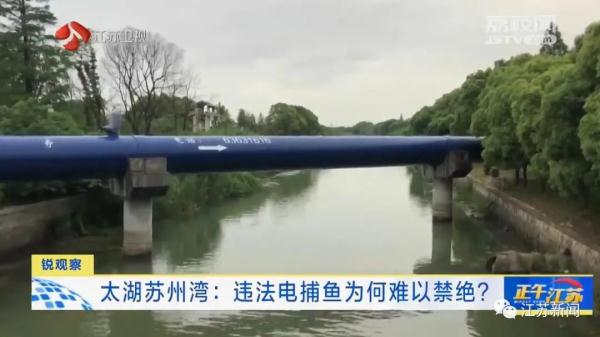 禁止垂钓牌到处都是,捕鱼艇依然在湖面乱窜!太湖苏州湾违法电捕鱼为何难以禁绝 禁止垂钓牌到处都是,捕鱼艇依然在湖面乱窜!太湖苏州湾违法电捕鱼为何难以禁绝