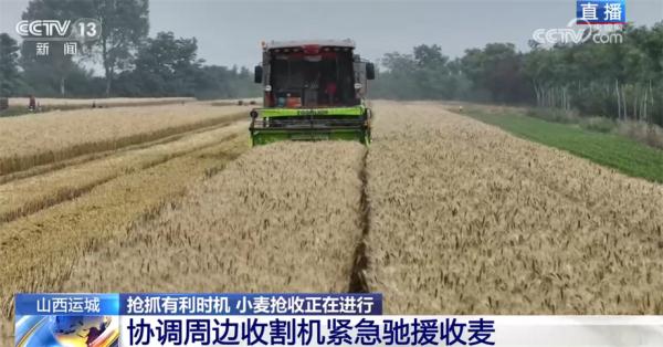 山西运城抢抓天气晴好有利时机 小麦抢收正在进行中