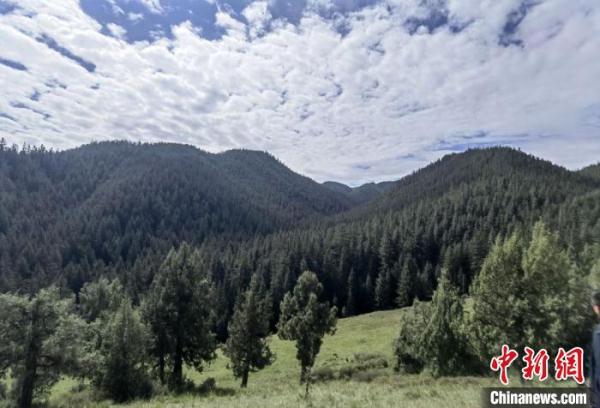 甘肃祁连山生态环境保护做好“后半篇”文章：见“美”亦求“效”