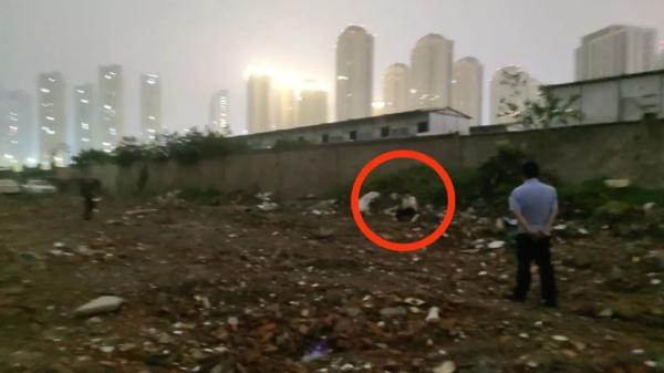 “绝望的小偷”遇到豪华抓捕阵容…“你们不要过来！”