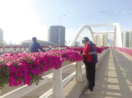 百万余盆花扮靓兰州马拉松赛道