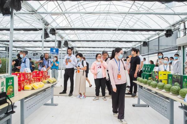 境外记者走进大兴 ,感受北京高质量发展 境外记者走进大兴 ,感受北京高质量发展