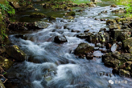 “凉”心推荐!有山有水有风光,南宁这里避暑正清凉! “凉”心推荐!有山有水有风光,南宁这里避暑正清凉!