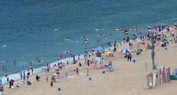 深圳这个海滩一天8起溺水事故