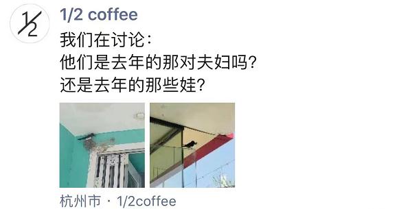 奇葩邻居！杭州老板娘连发三年朋友圈，一堆人天天等更新…