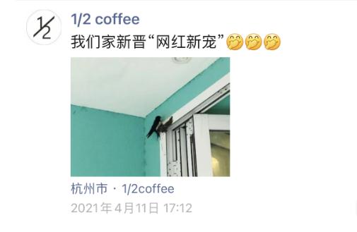 奇葩邻居！杭州老板娘连发三年朋友圈，一堆人天天等更新…
