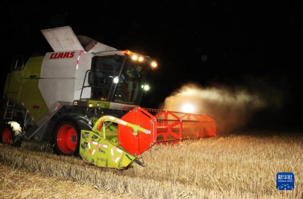 河南:昼夜抢收小麦 河南:昼夜抢收小麦
