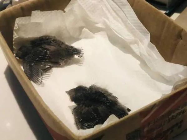 奇葩邻居！杭州老板娘连发三年朋友圈，一堆人天天等更新…