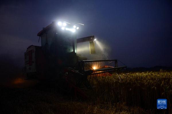 河南:昼夜抢收小麦 河南:昼夜抢收小麦