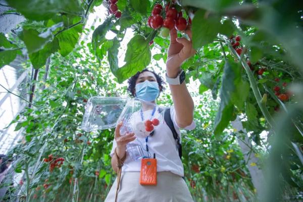 境外记者走进大兴 ,感受北京高质量发展 境外记者走进大兴 ,感受北京高质量发展