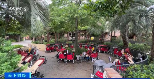 知名景区宣布：将禁止！