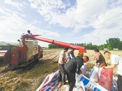 争分夺秒！河南已收获小麦2757万亩，最新麦收进度来了↓