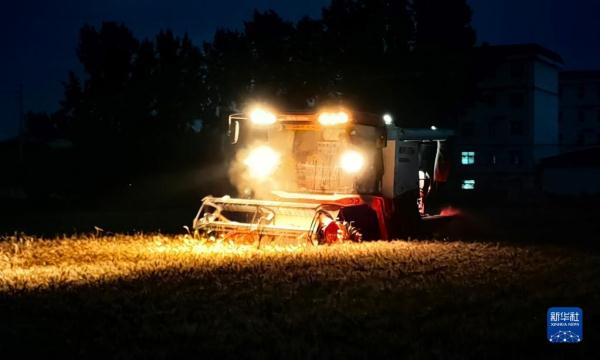 河南:昼夜抢收小麦 河南:昼夜抢收小麦