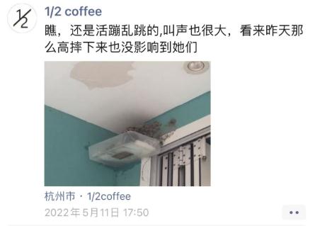 奇葩邻居！杭州老板娘连发三年朋友圈，一堆人天天等更新…
