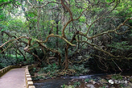 “凉”心推荐!有山有水有风光,南宁这里避暑正清凉! “凉”心推荐!有山有水有风光,南宁这里避暑正清凉!