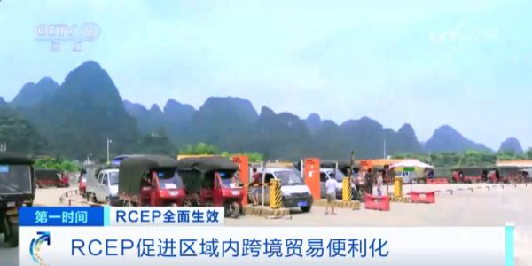 超90%货物贸易，零关税！15个签署国，全面实施