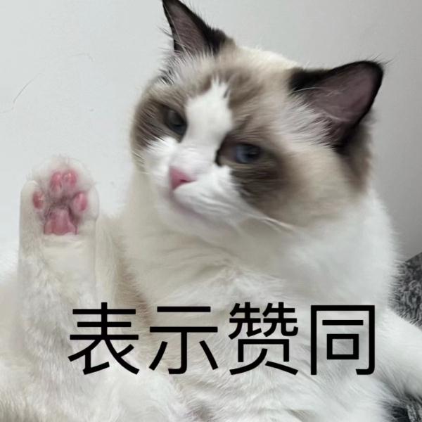 荒野求生？这届“特种兵”大学生开始了野外生存！