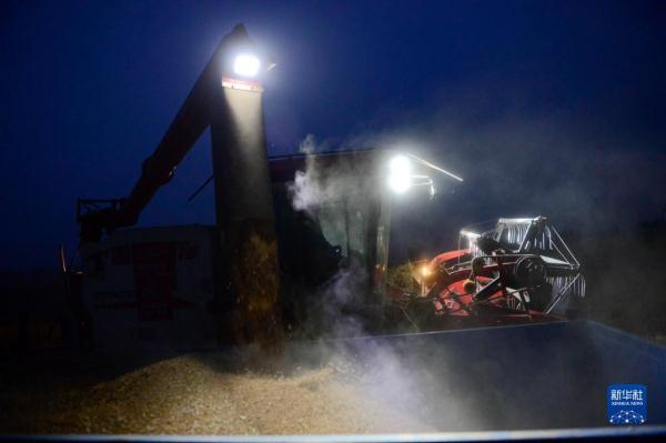 河南:昼夜抢收小麦 河南:昼夜抢收小麦