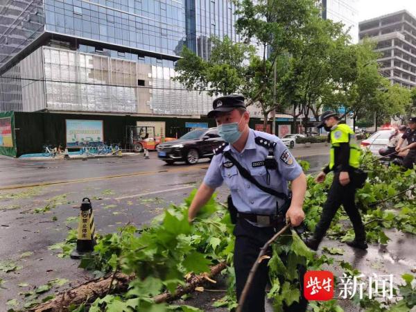 大风刮断树枝挡路 民警冒雨清理倒伏树木 大风刮断树枝挡路 民警冒雨清理倒伏树木