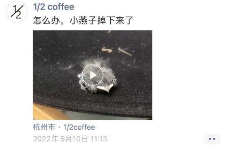奇葩邻居！杭州老板娘连发三年朋友圈，一堆人天天等更新…