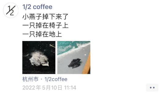 奇葩邻居！杭州老板娘连发三年朋友圈，一堆人天天等更新…