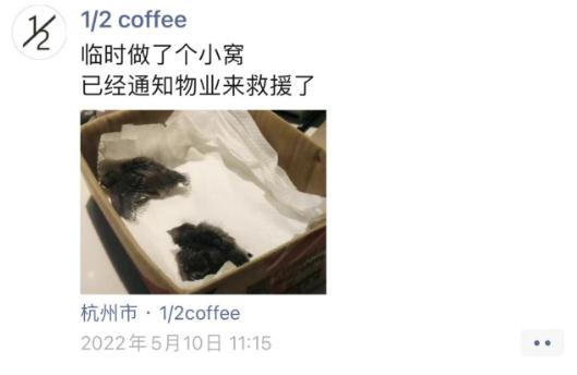 奇葩邻居！杭州老板娘连发三年朋友圈，一堆人天天等更新…