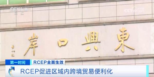 超90%货物贸易，零关税！15个签署国，全面实施