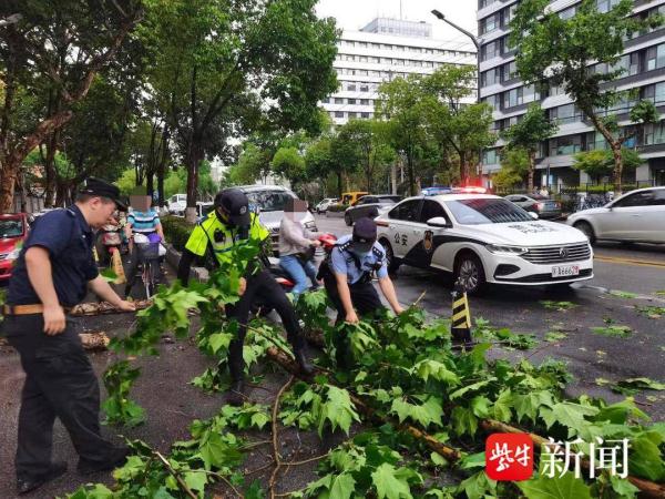大风刮断树枝挡路 民警冒雨清理倒伏树木 大风刮断树枝挡路 民警冒雨清理倒伏树木