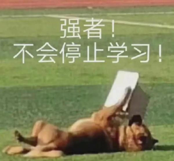 荒野求生？这届“特种兵”大学生开始了野外生存！