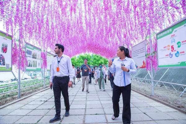 境外记者走进大兴 ,感受北京高质量发展 境外记者走进大兴 ,感受北京高质量发展